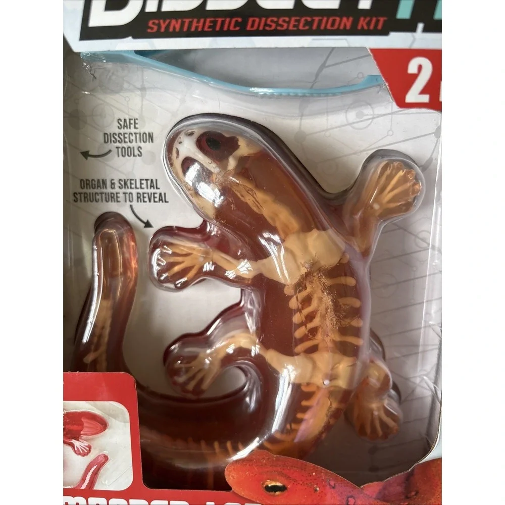 Dissect-It Salamander Lab Dissection Kit Homeschooling Interactive Stem Toy New